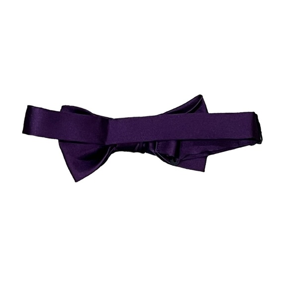 ArGait Men’s Blue Purple Bow Tie - Picture 3 of 4
